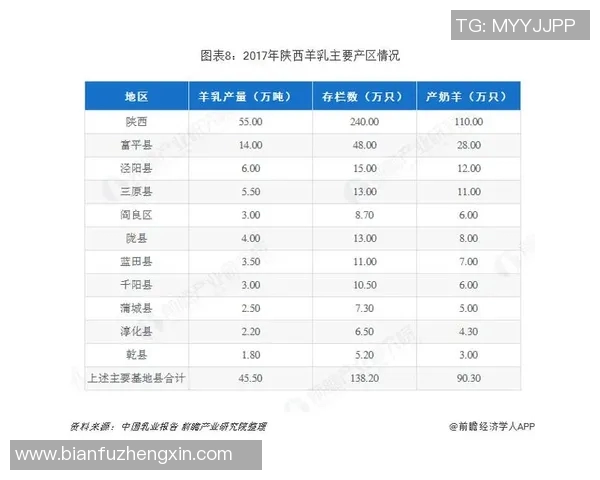 踢足球人数的增长与影响分析以及未来发展趋势探讨